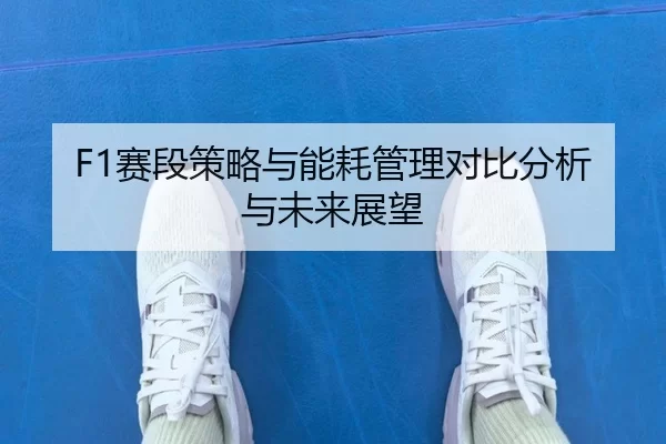 F1赛段策略与能耗管理对比分析与未来展望
