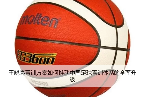 王晓亮青训方案如何推动中国足球青训体系的全面升级